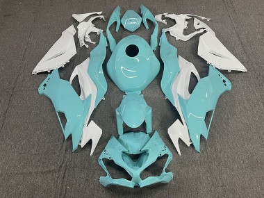 19-23 Aqua Kawasaki ZX6R Carénage Moto