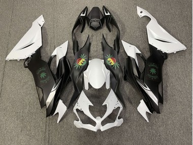 19-23 Faccia Felice Kawasaki ZX6R Carénage Moto