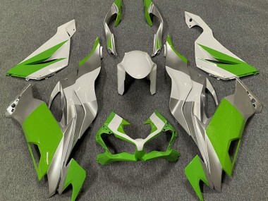 19-23 Vert Blanc & Argent Kawasaki ZX6R Carénage Moto